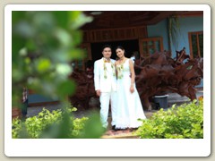 img (41)